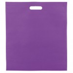 Τσάντα Non Woven "File" (PT-093) Τσάντα Non Woven "File" (PT-093)
